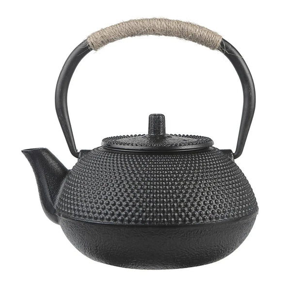 Handmade Iron Japanese Teapot