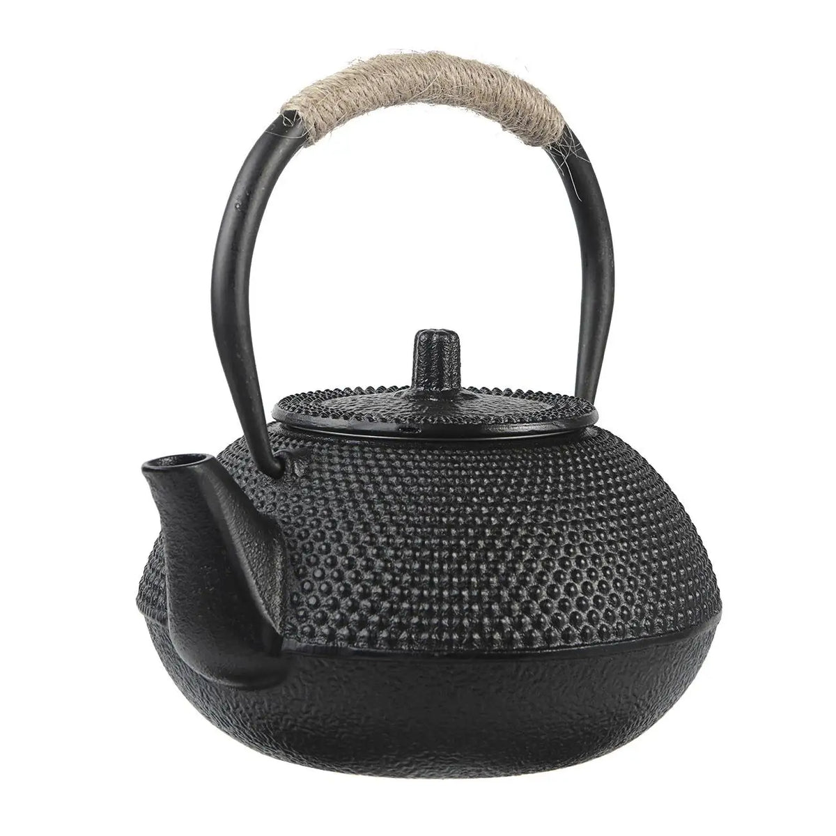 Handmade Iron Japanese Teapot